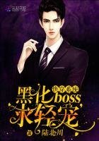 快穿系統:黑化BOSS,求輕寵